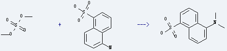 5-Amino-1-naphthalenesulfonic acid is used to produce 5-dimethylamino-naphthalene-1-sulfonic acid by reaction with sulfuric acid dimethyl ester. 